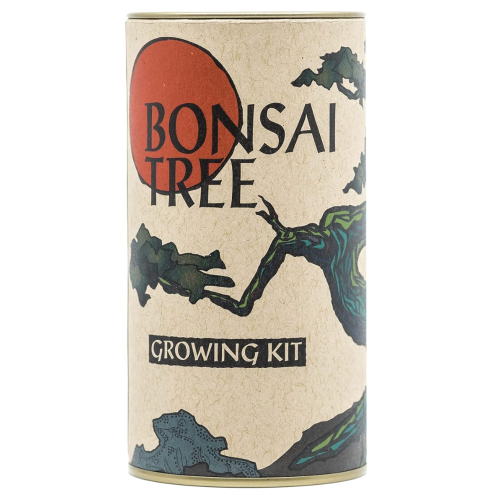 grow your own bonsai tree kit Grow Your Own Bonsai Kit